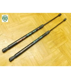 Gasdruck Gasdämpfer Heckklappendämpfer Ford Fiesta 6 VI x 2 Stück hinten