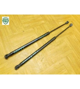 Gasdruck Gasdämpfer Heckklappendämpfer Opel Meriva x 2 Stück hinten GM