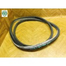 Dichtung Türdichtung Opel Vectra C hinten rechts Beifahrerseite