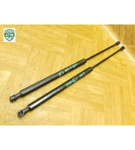 Heckklappendämpfer Gasdruck Gasdämpfer x 2 Stück hinten Peugeot 206 9631441380