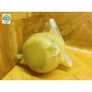 Ausgleichsbehälter Behälter Kühlmittel Renault Kangoo 7700836316