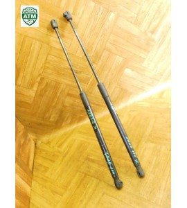 Gasdruck Gasdämpfer Heckklappendämpfer Dacia Sandero x 2 Stück hinten