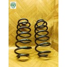 Feder Federn x 2 Stück hinten Toyota Aygo