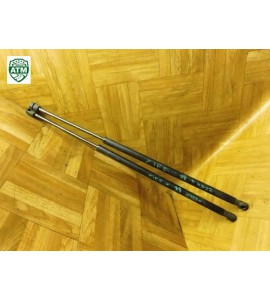 Gasdruck Gasfeder Heckklappendämpfer x 2 Stück hinten Ford Fiesta 5 V