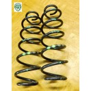 Feder Federn VW Golf 4 IV 5 türig x 2 Stück hinten