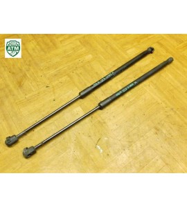 Heckklappendämpfer Gasdruck x 2 Stück hinten Gasdämpfer Opel Meriva