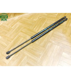 Gasdruck Gasdämpfer x 2 Stück hinten Heckklappendämpfer Ford Fiesta 5 V 5 türig