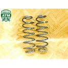 Feder Federn x 2 Stück hinten Ford Fiesta 6 VI 3 türig