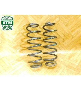 Feder Federn x 2 Stück hinten Ford Fiesta 6 VI 3 türig