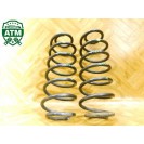 Feder Federn x 2 Stück hinten Ford Fiesta 6 VI 3 türig