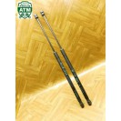 Gasdruck Gasdämpfer Heckklappendämpfer x 2 Stück hinten Ford Fiesta 6 VI 3 türig