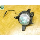 Nebelleuchte Nebelscheinwerfer NSL NSW vorne links Kia Carnival Fahrerseite