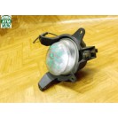 Nebelleuchte Nebelscheinwerfer NSL NSW vorne links Kia Carnival Fahrerseite