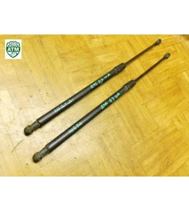 Heckklappendämpfer Gasdruck Gasdämpfer BMW 3 3er E46 x 2 Stück hinten