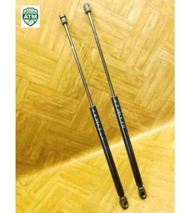 Gasdruck Gasdämpfer Heckklappendämpfer x 2 Stück hinten Ford Mondeo 3 III