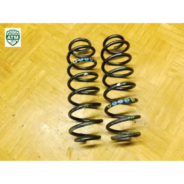 Feder Federn x 2 Stück hinten VW Fox