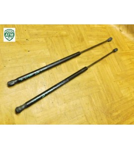 Heckklappendämpfer Gasfeder Gasdruck x 2 Stück hinten Ford C-Max 3M51R406A10AB