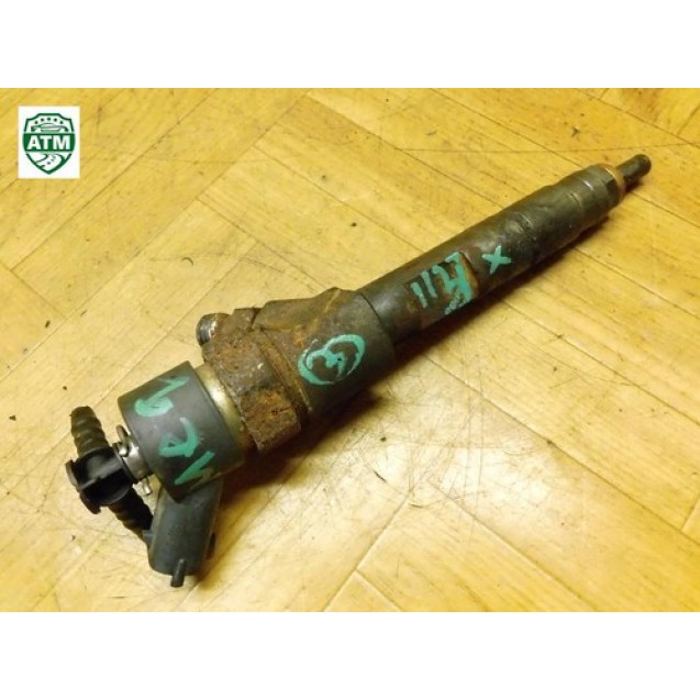 Einspritzdüse Renault Megane 2 II 8200100272 0445110110B