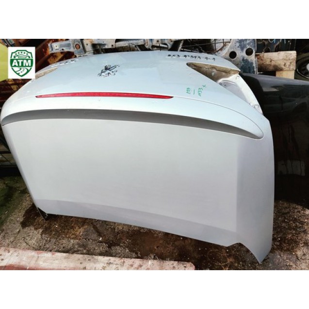 Heckklappe Peugeot 307CC Farbe Silber