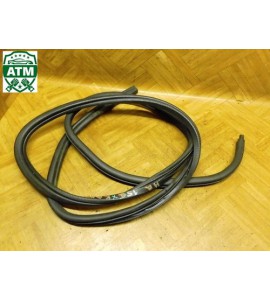 Türdichtung Dichtung hinten rechts Beifahrerseite Renault Kangoo