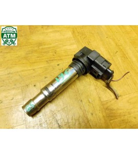 Zündspule VW Golf 5 V BERU 0040102030