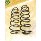 Feder Federn x 2 Stück hinten Ford Fiesta 5 V 5 türig