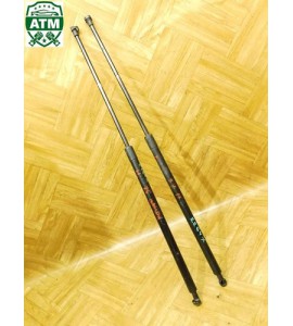 Gasdruck Gasdämpfer hinten x 2 Stück Heckklappendämpfer Renault Kangoo