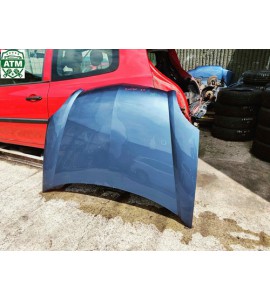 Motorhaube Renault Kangoo Farbcode TED49 Farbe Torontoblau Blau