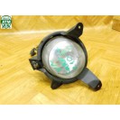 Nebelleuchte Nebelscheinwerfer NSL NSW vorne rechts Kia Carnival Beifahrerseite