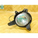 Nebelleuchte Nebelscheinwerfer NSL NSW vorne rechts Kia Carnival Beifahrerseite