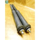 Federbein Pralldämpfer Stoßdämpfer x 2 Stück hinten Toyota Aygo