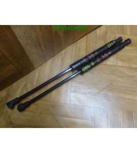 Gasdruck Gasdämpfer Motorhaubenscharniere vorne BMW 5er E39 51.23-8174866