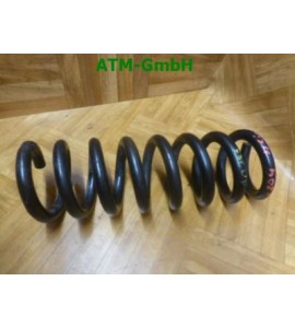 Feder x 1 Stück hinten Mercedes Benz C-Klasse W204
