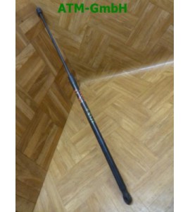 Gasdruck Gasdfeder Gasdämpfer VW Passat B6 vorne Motorhaube 3C0823369A