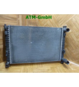 Kühler Ford Fiesta 5 V 2S6H8054CA