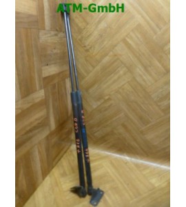 Gasdruck Gasdämpfer Heckklappendämpfer Opel Corsa D x 2 Stück hinten GM