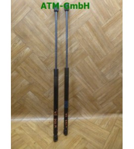 Gasdruck Heckklappendämpfer x 2 Stück hinten Mercedes Benz A-Klasse W168