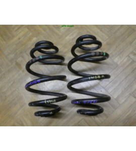 Feder Federn VW Passat B5 3B6 hinten x 2 Stück