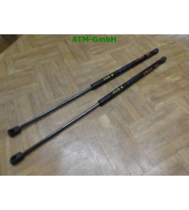 Gasdruck Gasdämpfer Heckklappendämpfer Ford Focus C-MAX x 2 Stück hinten