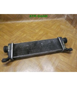 Ladeluftkühler Mercedes Benz A Klasse W168 A170 CDI A1685000000