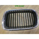 Ziergitter Kühlergrill Niere Mitte vorne Front BMW 3 3er E46 BM07007