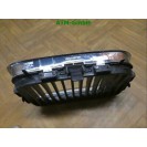 Ziergitter Kühlergrill Niere Mitte vorne Front BMW 3 3er E46 BM07007