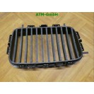 Ziergitter Kühlergrill Niere Mitte vorne Front BMW 3 3er E46 BM07007