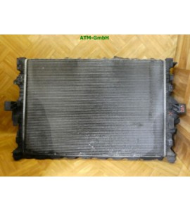 Wasserkühler Kühlerlüfter Lüftergebläse Ford Galaxy 3 WA6 2.0 TDCI 103 kW