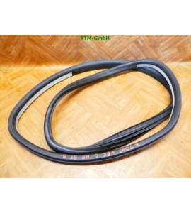 Türdichtung Dichtung Opel Vectra C 5 türig hinten rechts Beifahrerseite