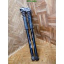 Federbein Pralldämpfer Stoßdämpfer Seat Ibiza 4 IV 3 türig x 2 Stück hinten