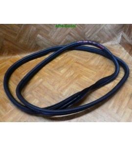 Türdichtung Dichtung Ford KA 2 II links Fahrerseite