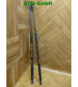 Gasdruck Gasdämpfer Heckklappendämpfer Peugeot 607 x 2 Stück hinten
