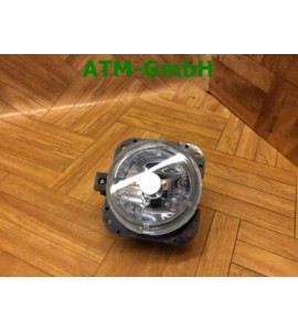 Nebelleuchte NSW Nebelscheinwerfer Citroen Xsara Picasso N68