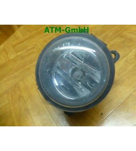 NSW Nebelscheinwerfer Nebelleuchte Renault Megane 2 II rechts Beifahrerseite